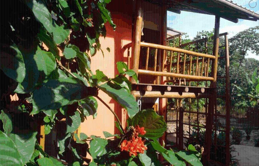 Concha Tropical Flat Apartment อิตากาเร ภายนอก รูปภาพ