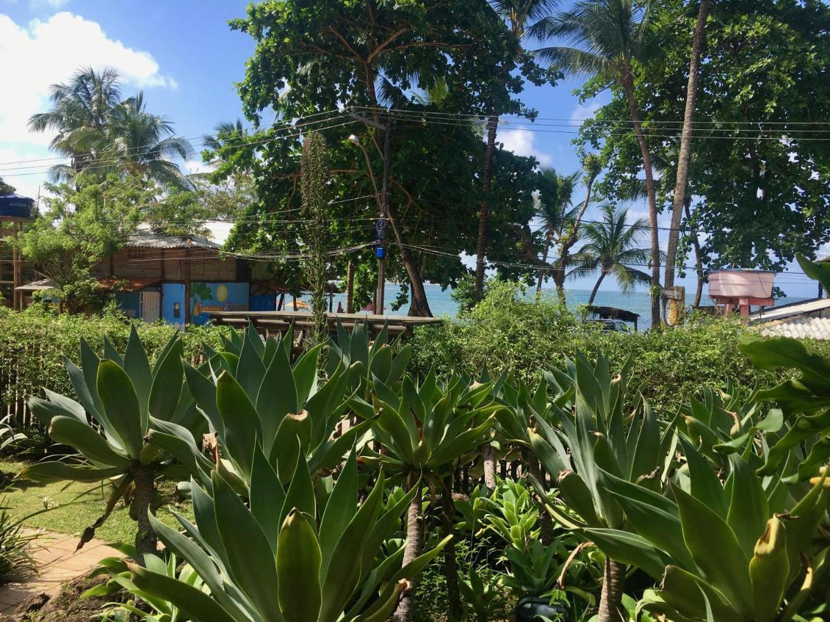Concha Tropical Flat Apartment อิตากาเร ภายนอก รูปภาพ